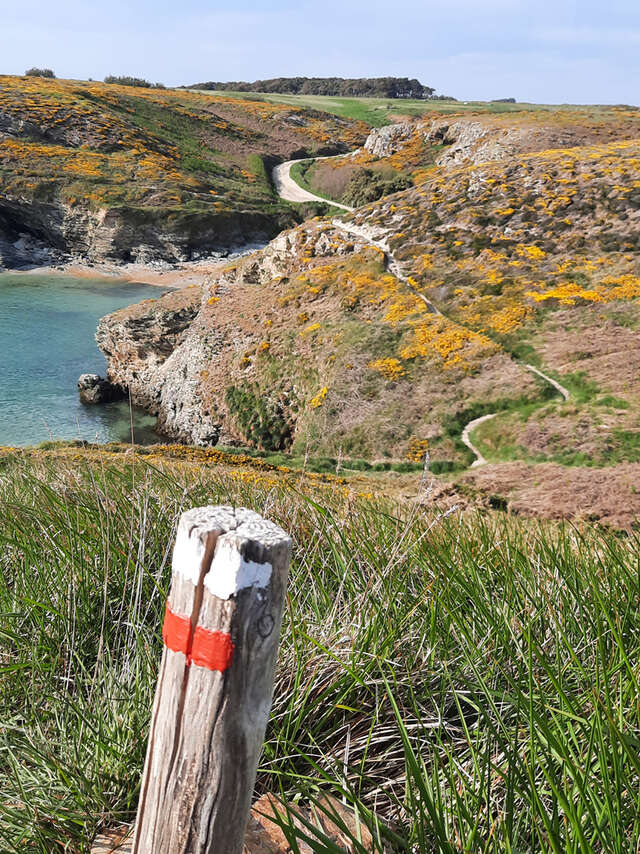 Jour 2/5 Arpentez la côte sauvage de la pointe des Poulains aux Aiguilles de Port Coton via la plage de Donnant