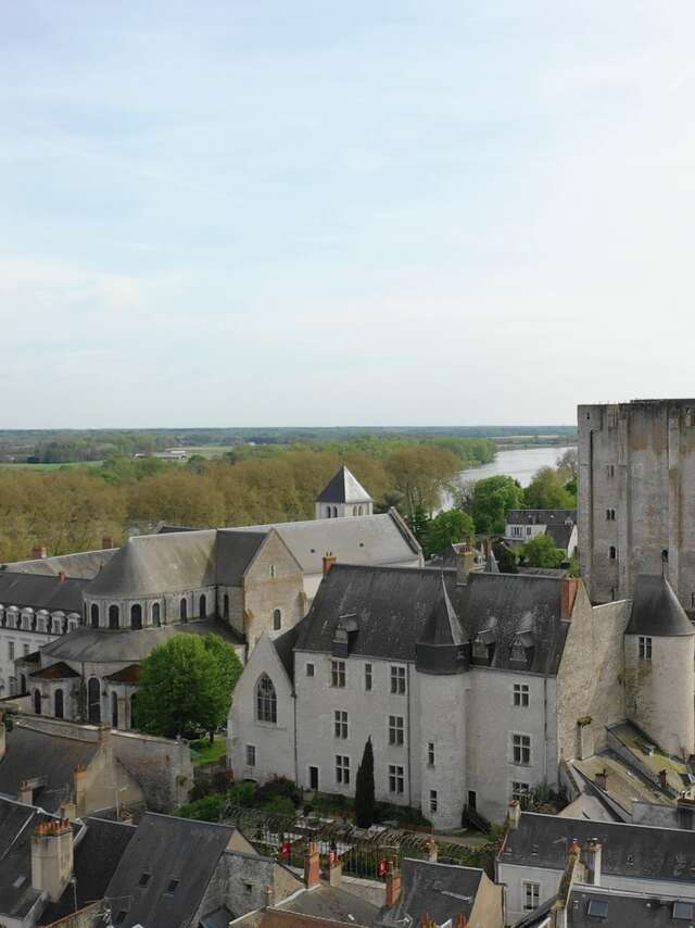 Château de Beaugency