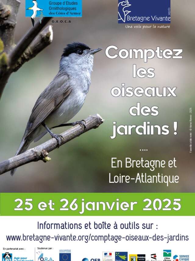 Comptez les oiseaux des jardins !