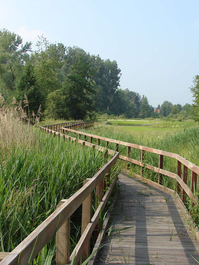 Promenade du Wachnet