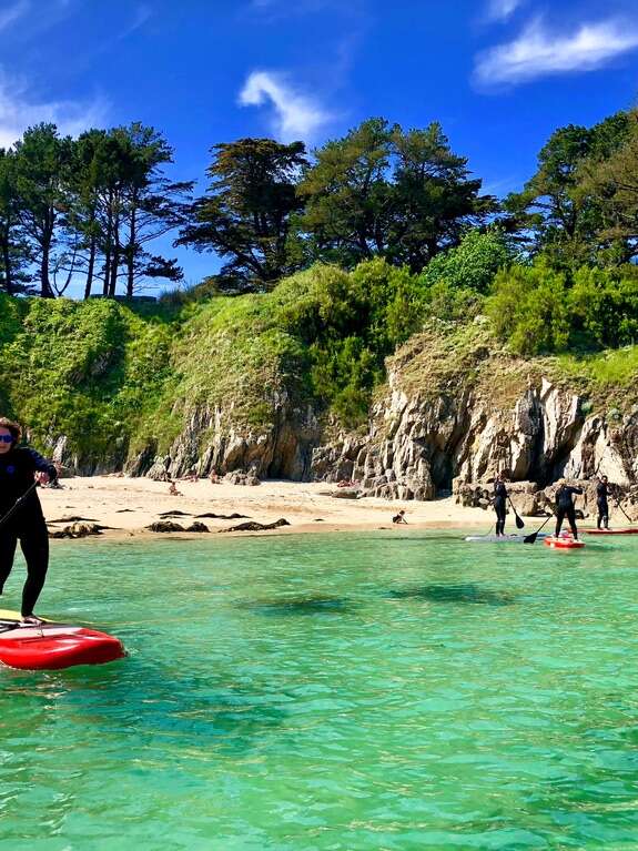 Ecole de Stand Up Paddleboard : Ty School