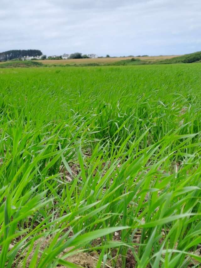 Visite de la Ferme de Maria & Joachim à Logonet