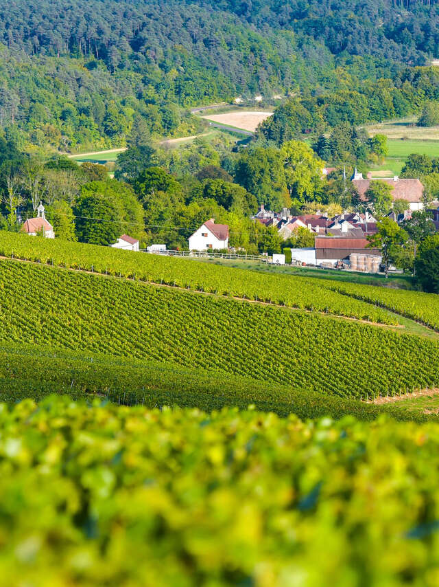 Route touristique du Champagne de la Cote des Bar