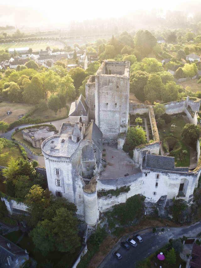 Cité royale de Loches