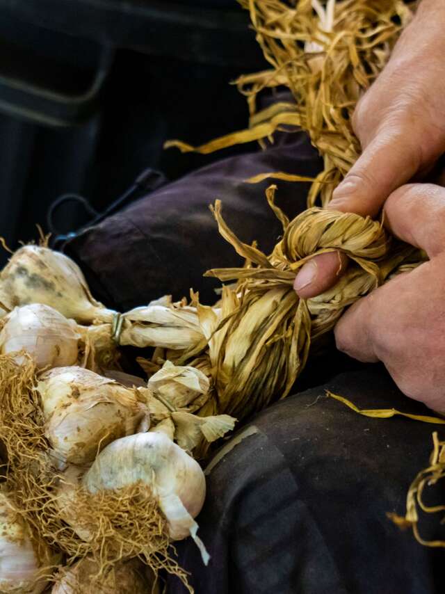 Foire à l'ail d'Arleux