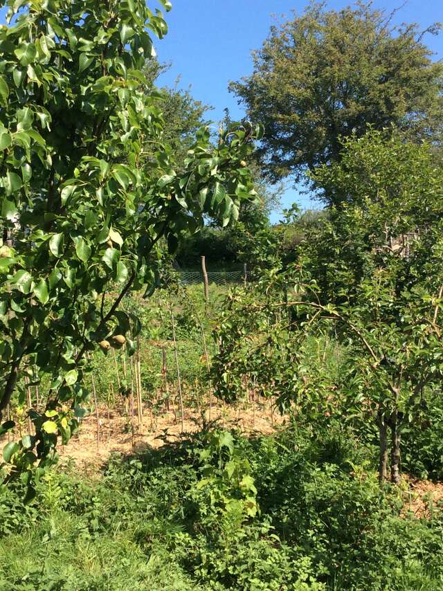 Bienvenue dans mon jardin au naturel