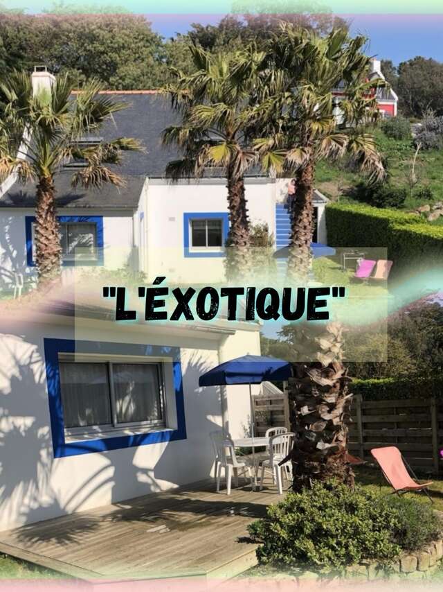 CROUILLEBOIS Gilles - L'Exotique