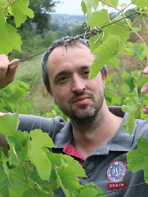 DOMAINE LES PYRÉNÉALES