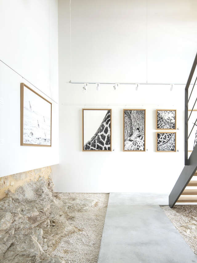 Hors-série Galerie d'art
