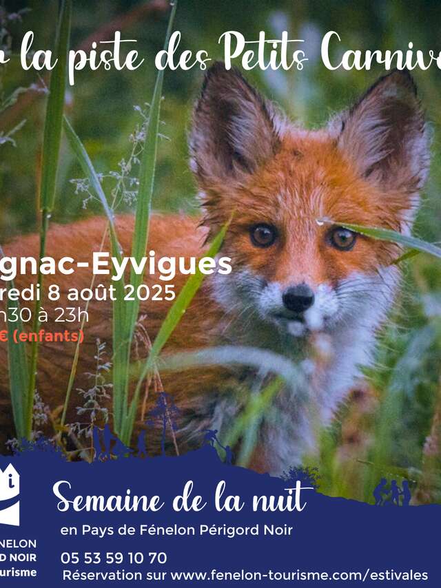 SEMAINE DE LA NUIT : Sur la piste des petits carnivores à Salignac-Eyvigues