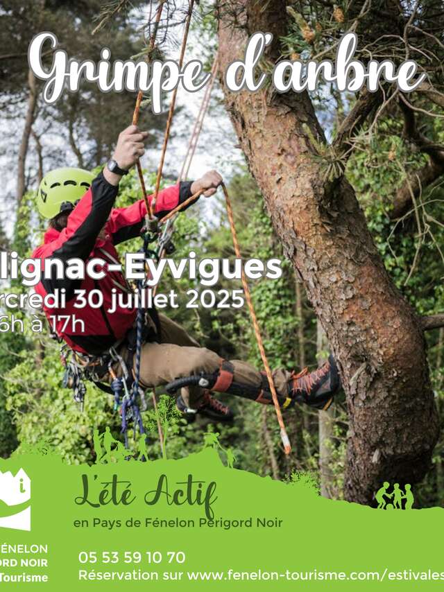 ÉTÉ ACTIF : Grimpe d'arbre à Salignac