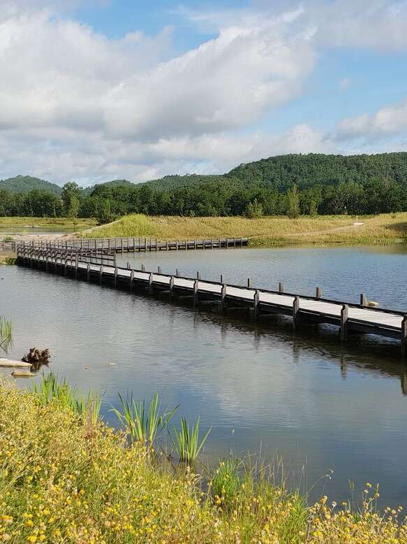 Réserve Départementale de Biodiversité "Les Gravières"