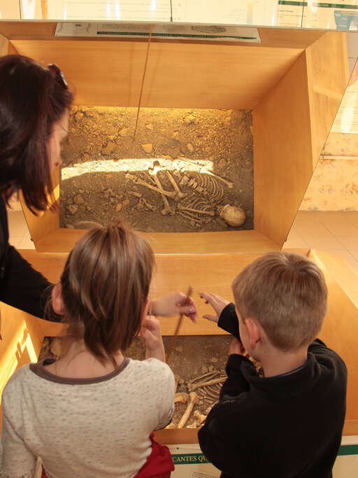 Musée de l'Homme de Neandertal "Jean Bouyssonie"