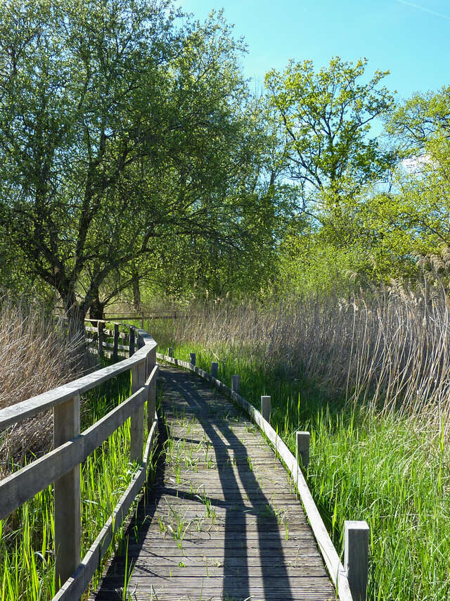 Le Marais de Bonnefont, Réserve Naturelle Régionale