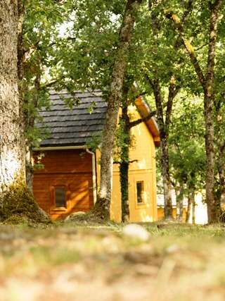 Le Bois de Faral, Ecologites