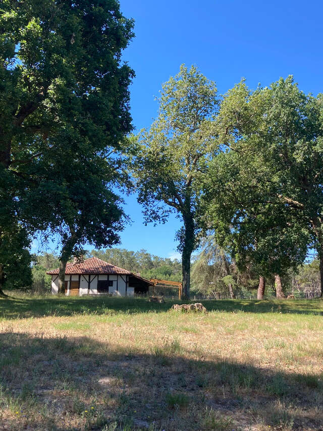 A Linxe, circuit du Moulin de Binaou