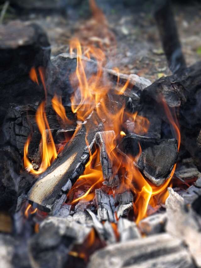 Bush Craft Survie Douce proposée par Guides Tinée Mercantour