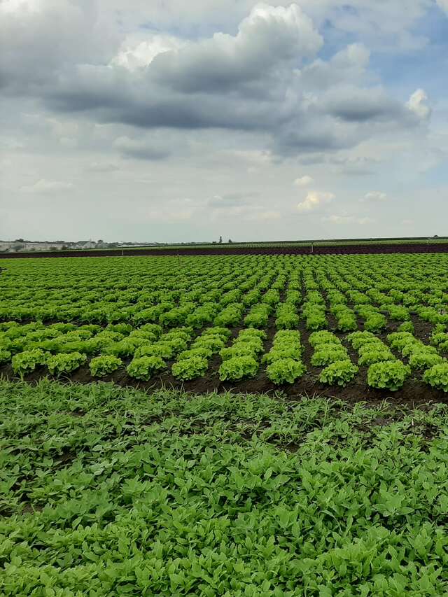 Les multiples facettes de la plaine de Montesson