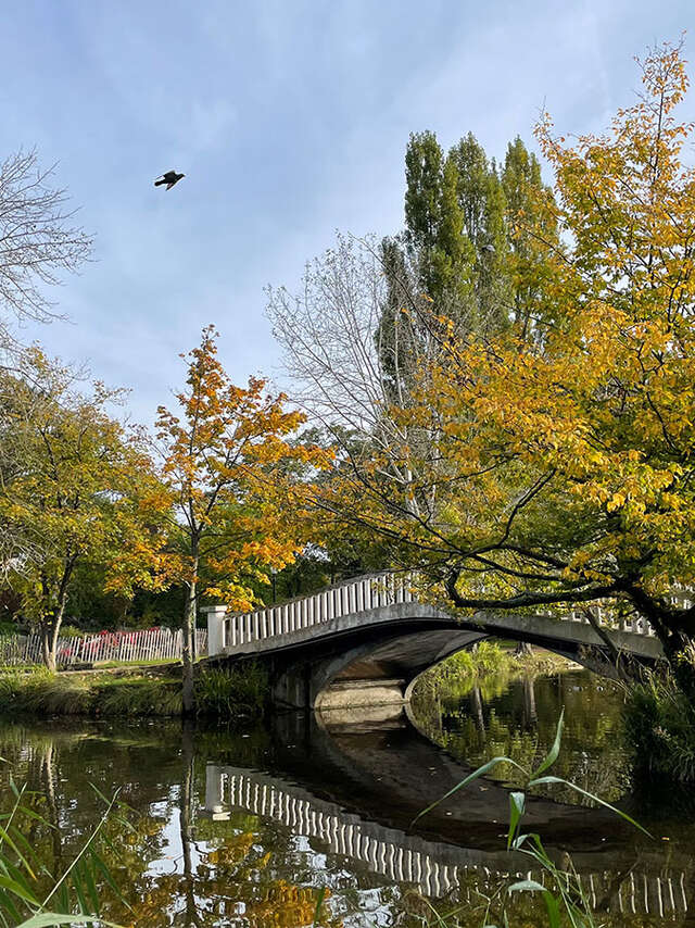 Les maisons remarquables du Vésinet en minibus