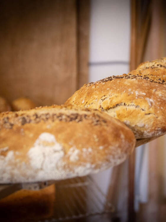 La ferme des co-pains