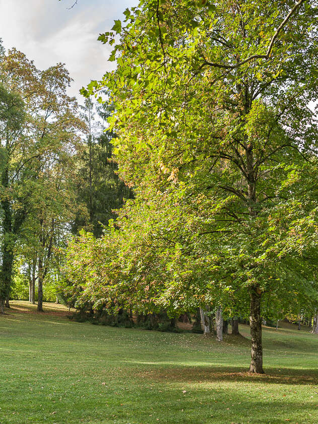 PARC DE CONTREXEVILLE