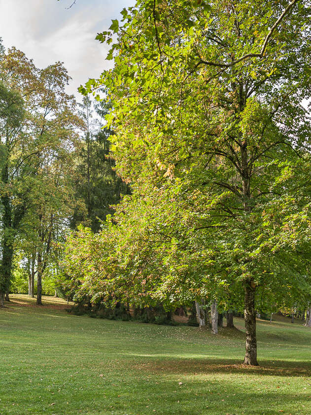 PARC THERMAL DE CONTREXÉVILLE