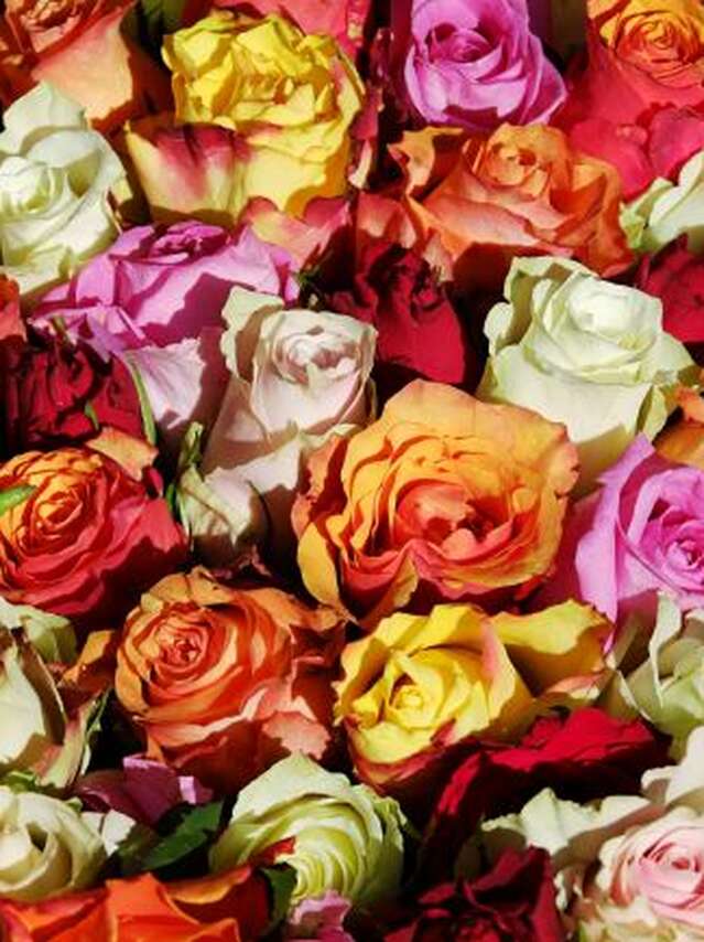 Atelier Art floral - la passion des roses