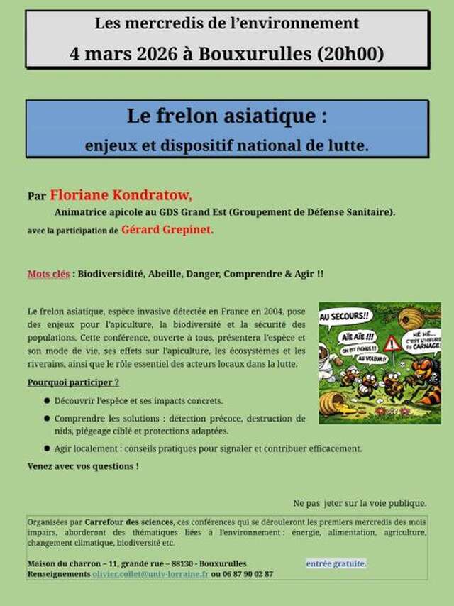 Les mercredis de l’environnement - Conférence sur le frelon asiatique