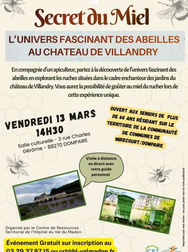 Visite immersive à la découverte du miel et guidée à distance en direct du château de Villandry