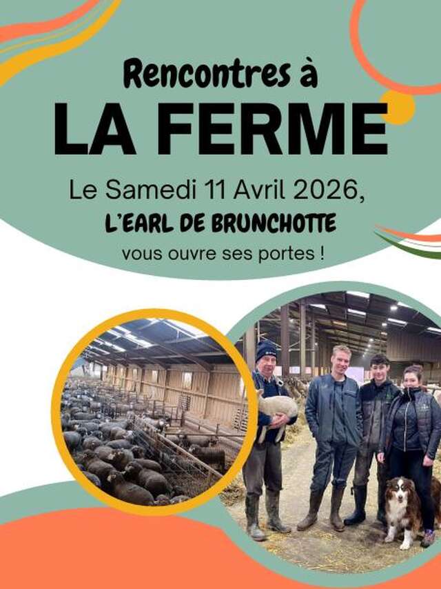 Rencontre à la ferme