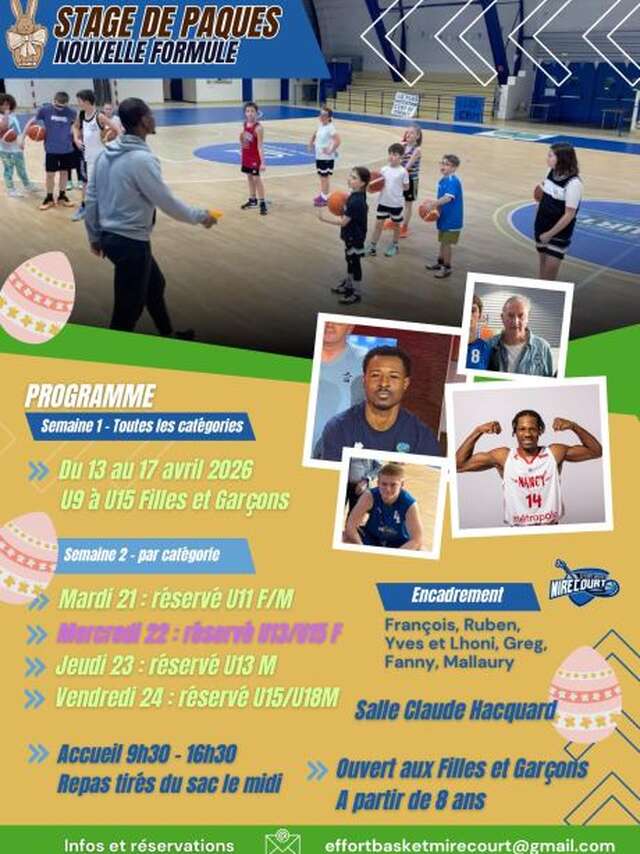 Stage de Basket