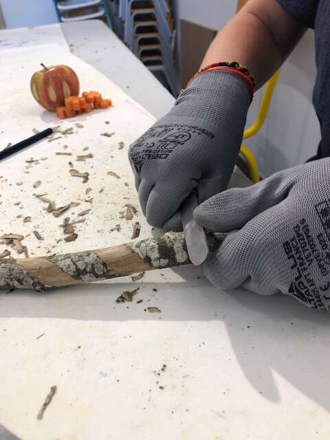 Atelier de technique et lutherie bricolée - Á la découverte du canif