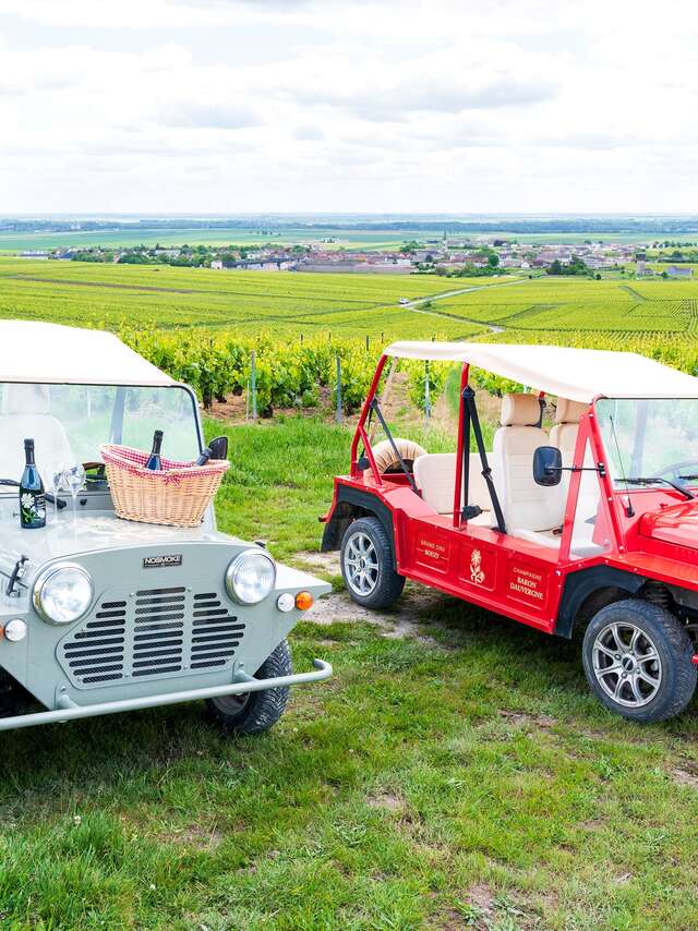 Champagne Baron Dauvergne : Immersion Vendanges