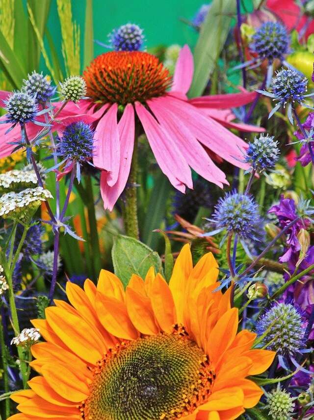 Marché aux Fleurs & de l'artisanat