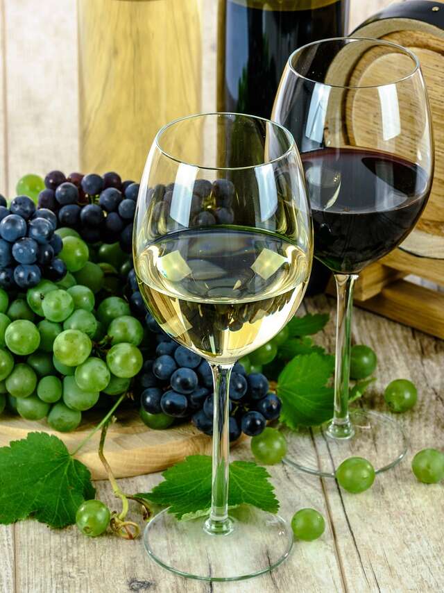 Festivitas : salon des voyages, des saveurs et des vins