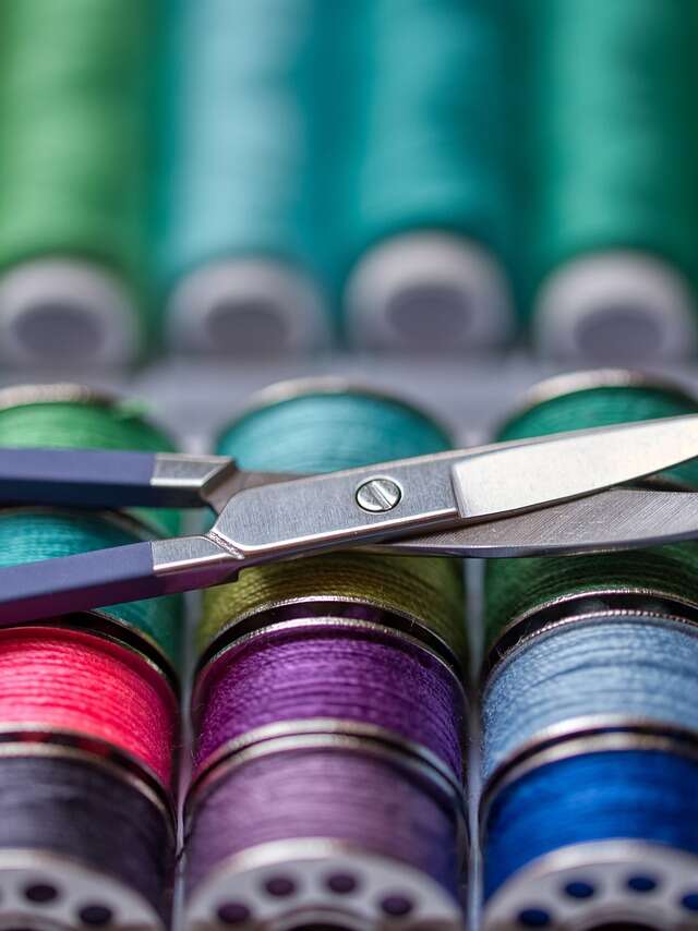 Atelier : vive la cueillette cousette !