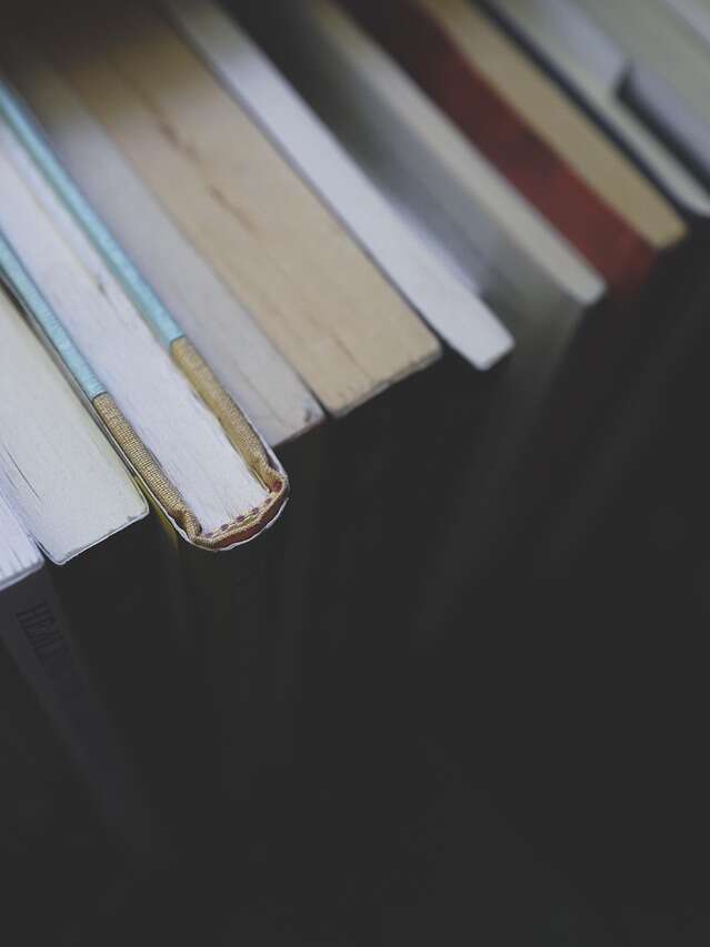 Littéroirs - 100% book fair