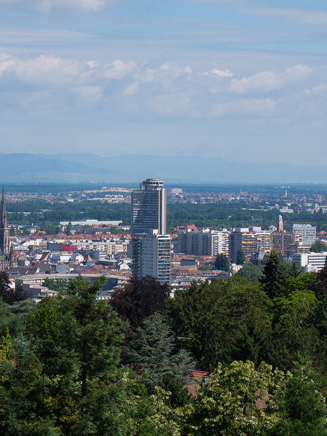 Balade guidée : Mulhouse vue d'en haut