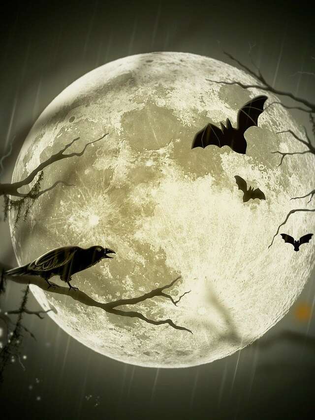 Halloween in der Bibliothek Dornach