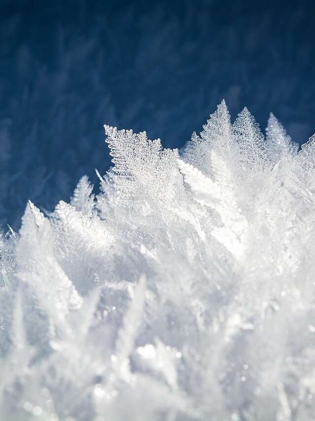 Exposition : Hiver d'antan