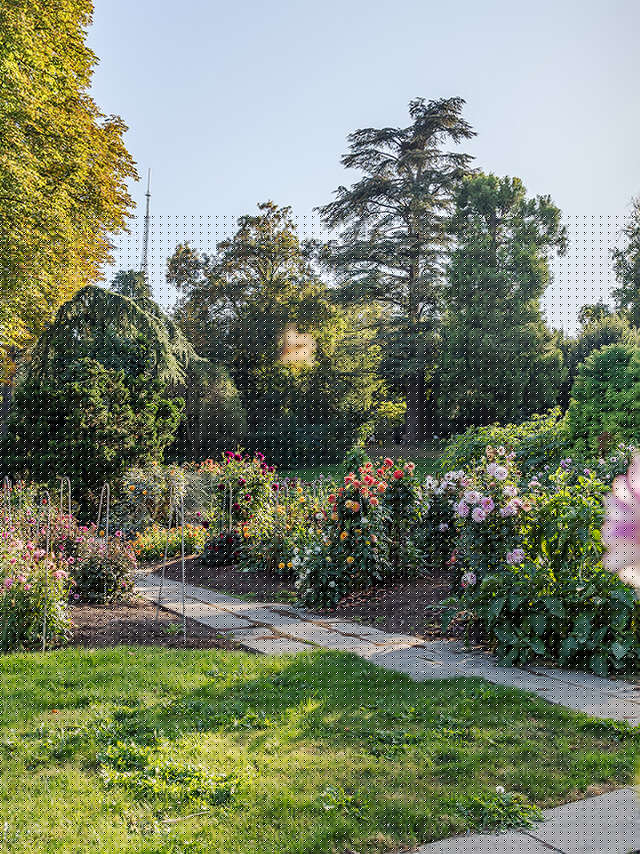 Guided tour: Mimicry and camouflage