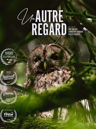 Projection-rencontre : Un autre regard