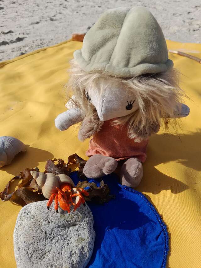 Boc'han, le petit korrigan des mers