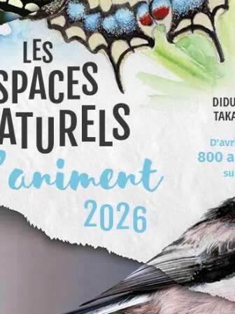 Les prés salés du Marais du Noténo