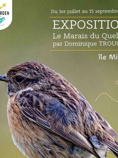 Exposition extérieure - Le marais du Quellen
