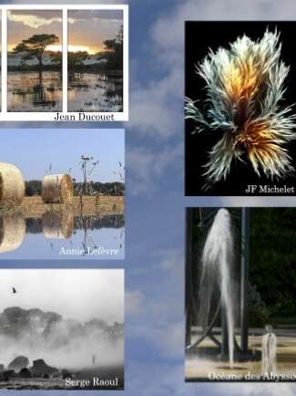 Eclectiques - Photographie