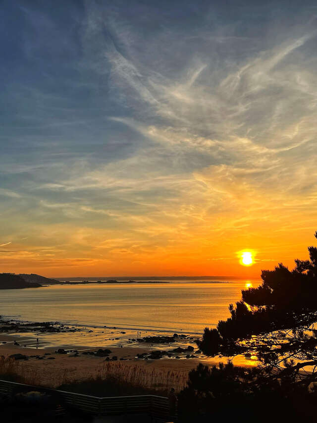 Nature au crépuscule