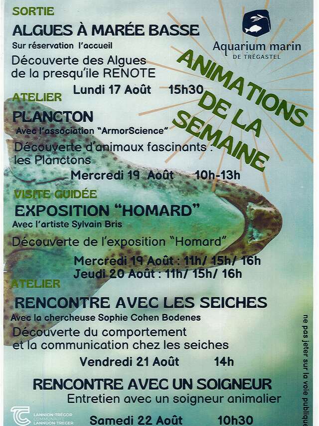 Animations de la semaine - Aquarium Marin Trégastel