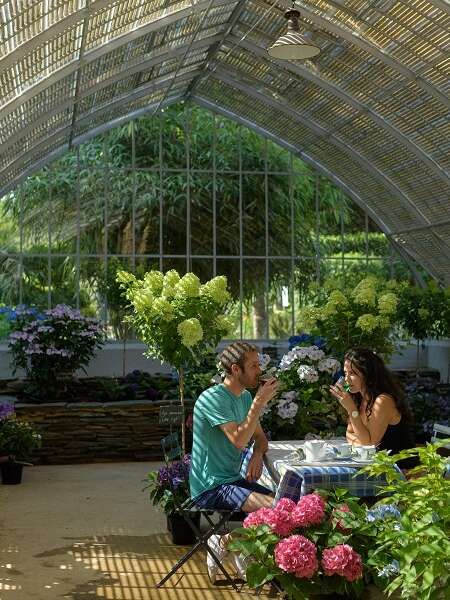 Pépinière Les Hortensias du Haut Bois