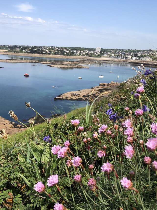 Ile Milliau - Découverte et pique-nique en anglais